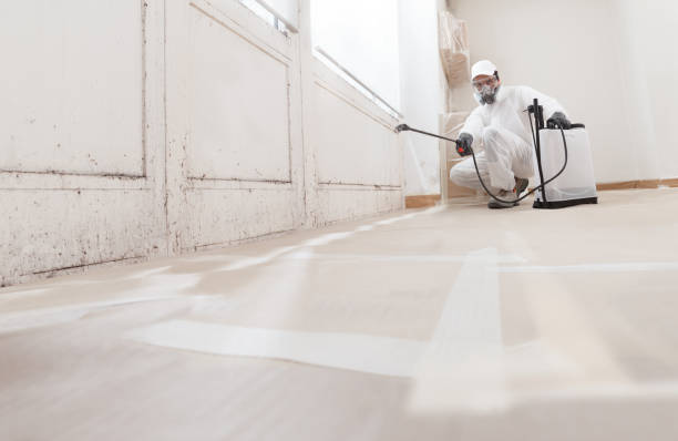 24/7 Emergency Commercial Mold Remediation experts in Loysville, PA